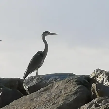 Vue Ocean, Casa Varandas Do Mar By Sun Sea ססימברה
